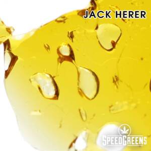 Everest Shatter Jack Herer 3