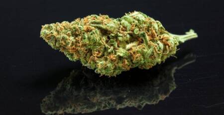 best indica strains for sleeping