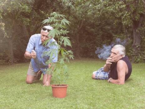 Cannabis for Seniors
