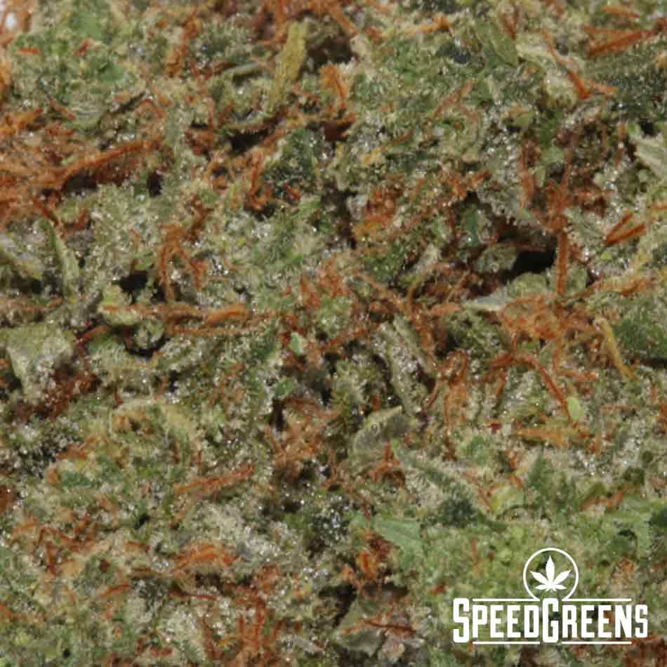 Killa Crip Kush (AAAA) Speed Greens
