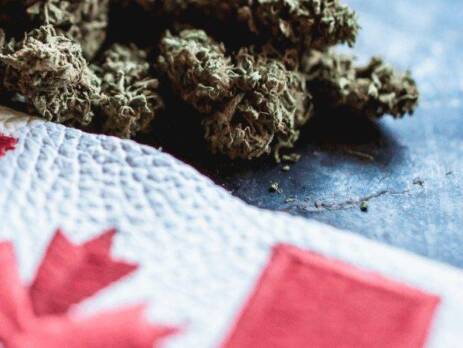 Canada Marijuana Pricing Guide