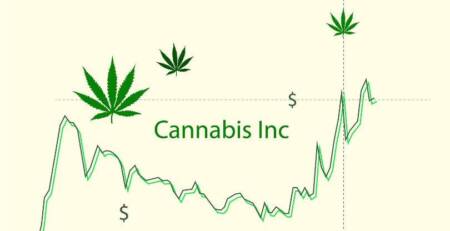 Top Cannabis Stocks