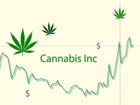Top Cannabis Stocks