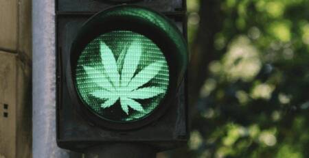8 Ways to Use Cannabis