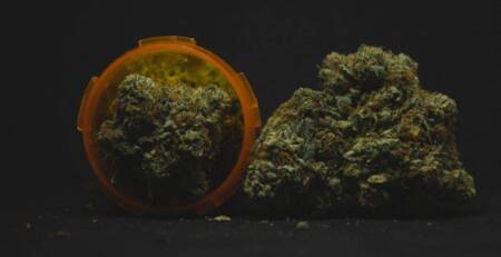 Best Indica Strains for Stress