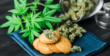 Most Popular Weed Edibles