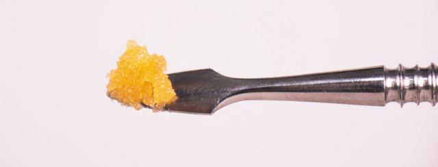 Close-up of live resin extraction process showing terpene-rich concentrate