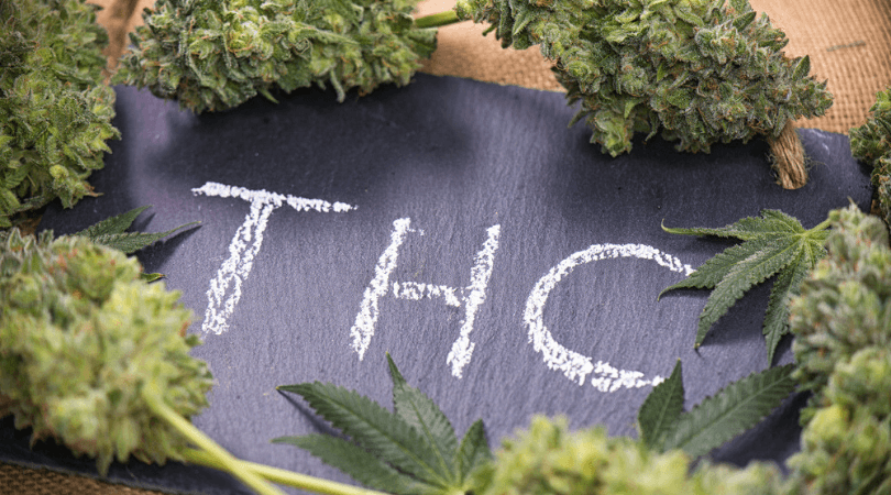 Six Highest THC Weed Strains