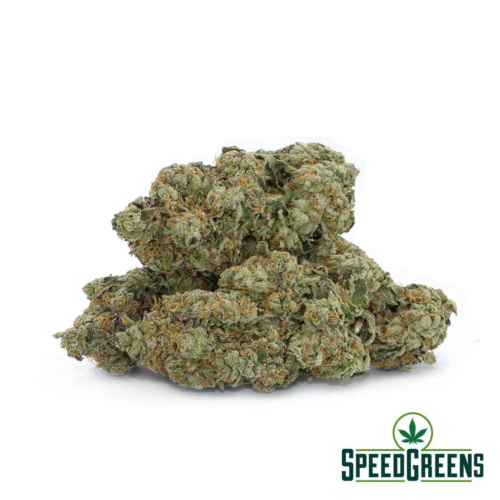 Jet Fuel (AAAA) Speed Greens
