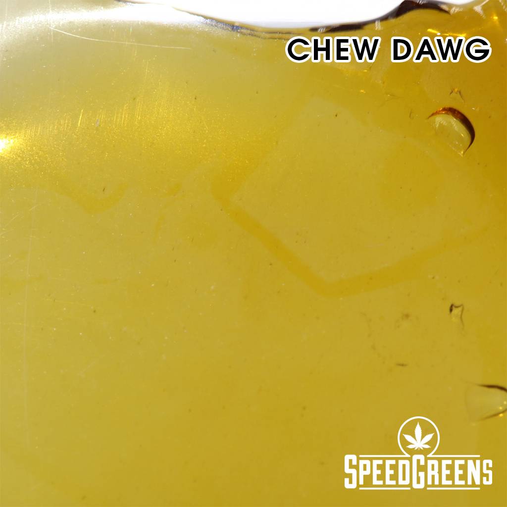 Everest-Shatter-Chew-Dawg-3