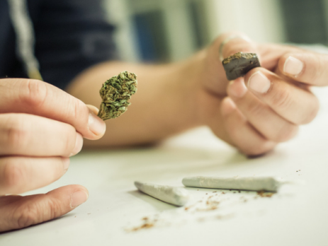 What is the Difference between Weed and Hash