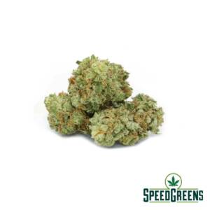 Blue Cheese (smalls) (AA) - Image 1