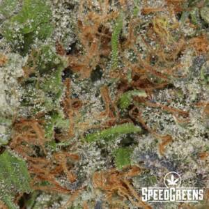 Cherry Punch (AAAA) - Image 3