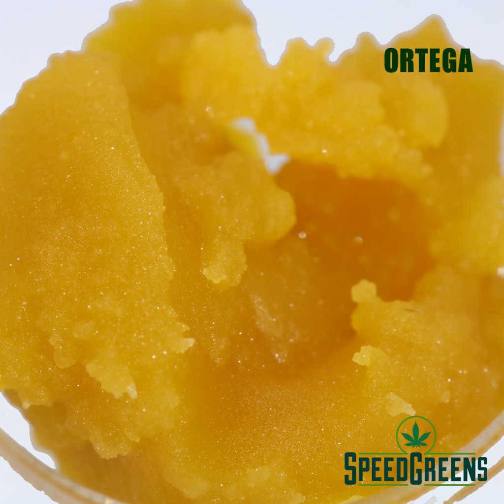 Ortgea-Live-Resin-4_optimized