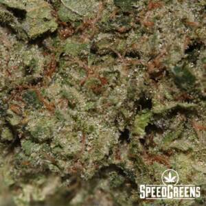 Pink Kush (AAA) - Image 3