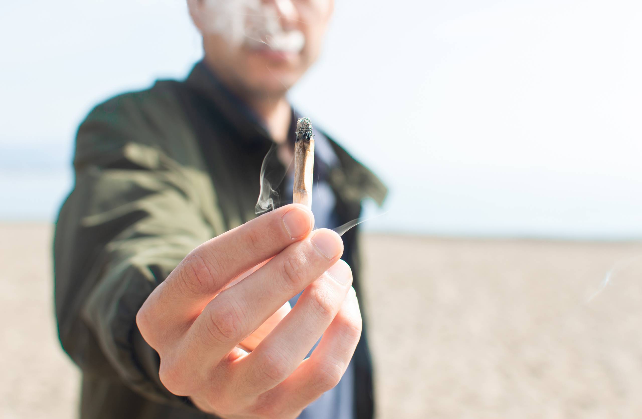 Young man holding a lit marijuana joint with summer cannabis strains. SpeedGreens