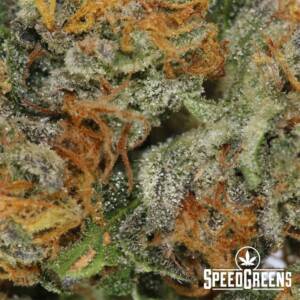 Juicy Fruit (AAA+) - Image 3