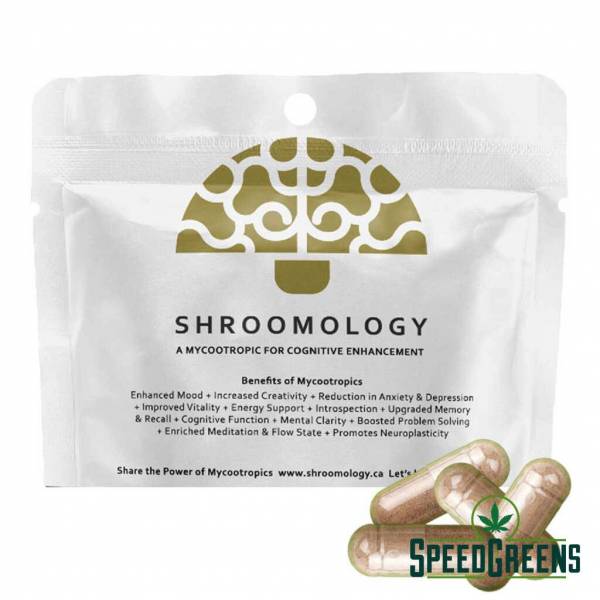 shroomology-microdosed-psilocybe-mushrooms-samplepack