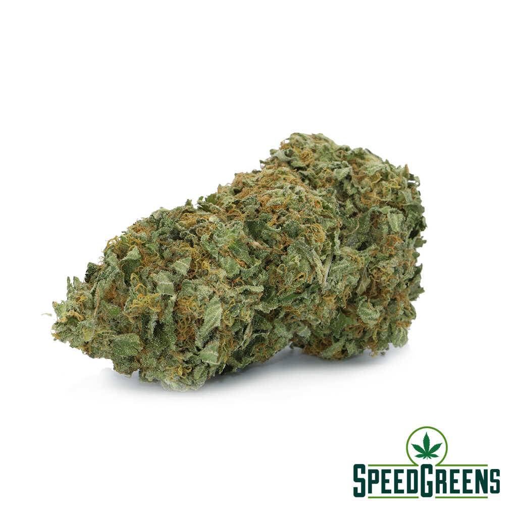 super-lemon-haze-aaa-2