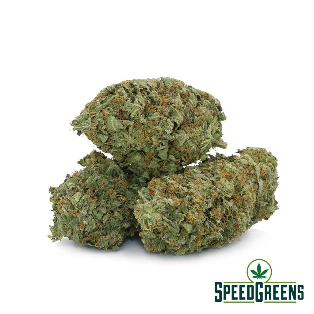 super-lemon-haze-aaa-3