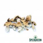 burmese_dried_mushroom-mushroom