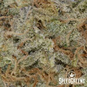 Agent Orange (AAAA) - Image 3