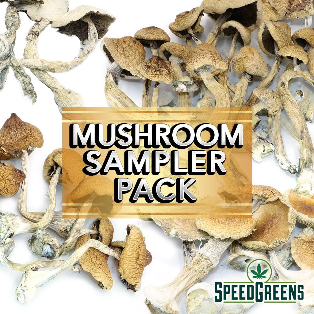 Mushroom Sampler Pack