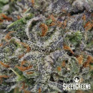 Bruce Banner (AAA) - Image 3