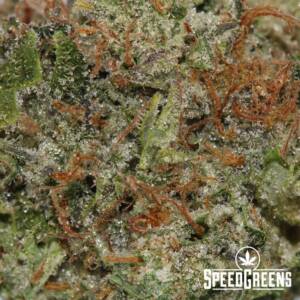 Rockstar Craft Top Shelf (AAAA) - Image 3