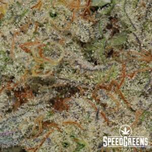 Sherbert Cookies Craft Top Shelf (AAAA) - Image 3