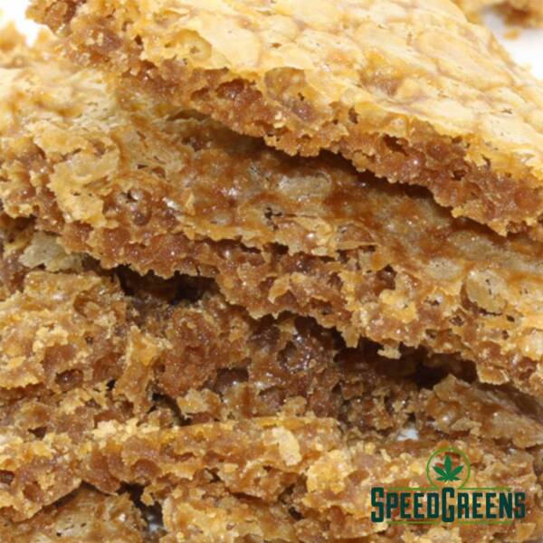 Tropic Truffle -Budder-2 Tropic Truffle Budder 2