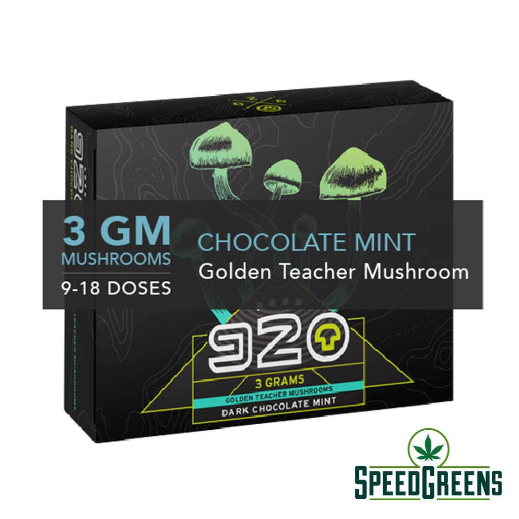 mota-room-920-chocolate-mint-2