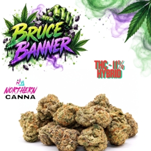 Bruce Banner | Northern Canna®
