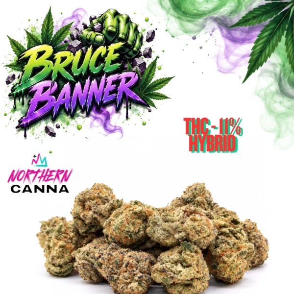 BRUCEBANNERNCFINAL BRUCEBANNERNCFINAL