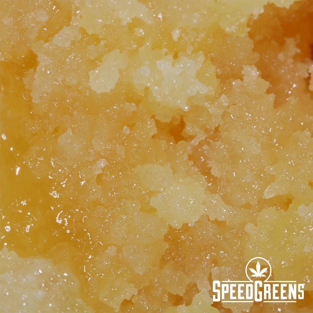 galaxy_extracts_sugar_punch-3