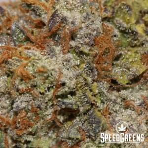 Grape Crush (AAA) - Image 3