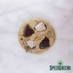 cookies-n-scream-2