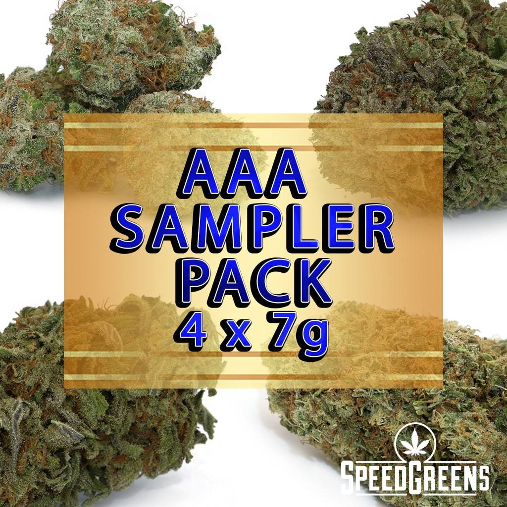 sampler quad aaa