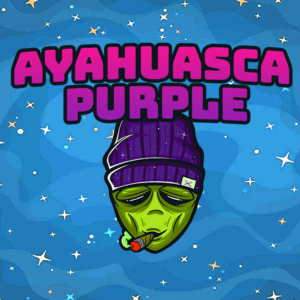 Ayahuasca Purple (AA) - Image 4