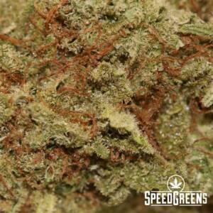 Green Crack (smalls) (AAA) - Image 3