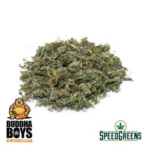 Buddha Boys | Pink Tuna Trim (AAAA) - Image 1