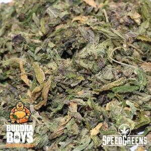 Buddha Boys | Pink Tuna Trim (AAAA) - Image 2