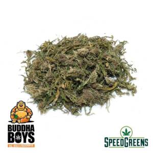 Buddha Boys - Slurricane Trim (AAAA) - Image 1