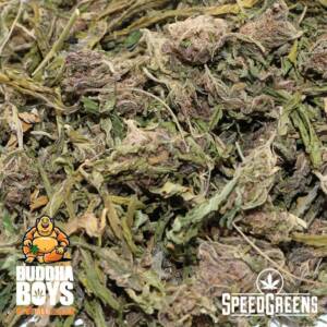 Buddha Boys - Slurricane Trim (AAAA) - Image 2