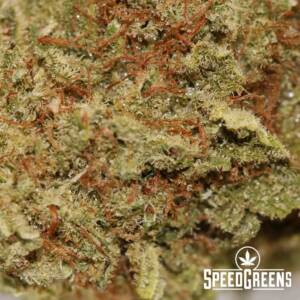 Sour Amnesia (smalls) (AAA) - Image 3