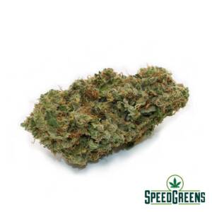 Lemon Creamsicle (AAAA) - Image 1