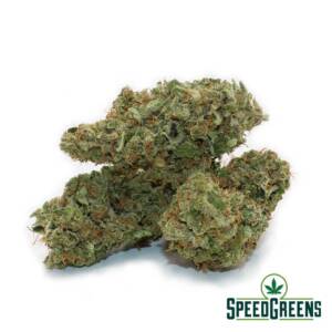 Lemon Creamsicle (AAAA) - Image 2