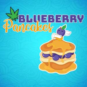 Blueberry Pancakes Craft Top Shelf (AAAA) - Image 4