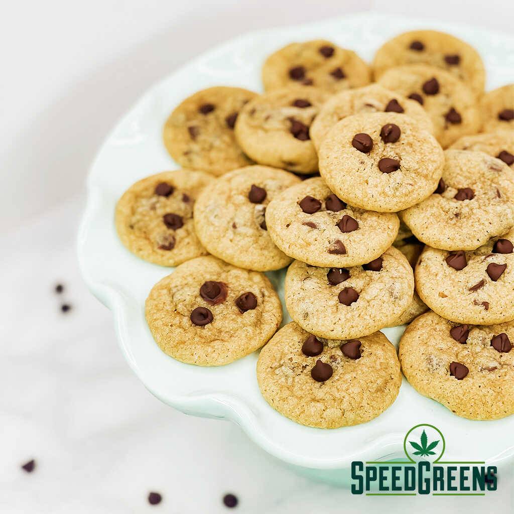 ten-happy-cookies-in-bowl