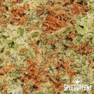 Pineapple Express (AAA) - Image 3